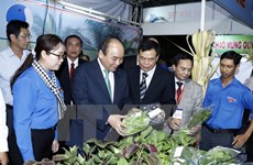 Vietnam busca mejorar la competitividad de productos exportables 