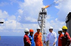 PetroVietnam produce 9,23 millones de toneladas de petróleo en siete meses