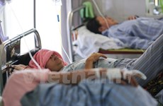 Fallecen seis personas por dengue en Hanoi en últimas dos semanas
