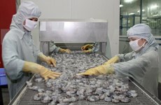 Exportaciones vietnamitas de camarón a China crecen 30 por ciento