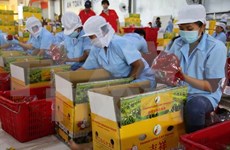 Economías de APEC debaten sobre desafíos de seguridad alimentaria 