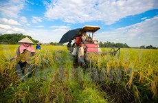 Economías del APEC debaten sobre biotecnología agrícola en la era digital