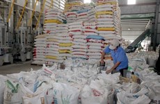 Exportación de arroz vietnamita prevé alcanzar 5,2 millones de toneladas en 2017
