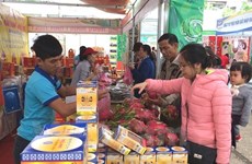 Efectuarán en Ciudad Ho Chi Minh feria internacional de agricultura