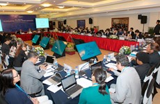 Vietnam promueve presentación electrónica en registro de propiedad intelectual 