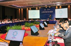 Vietnam auspicia reunión de alto nivel de salud y economía de APEC