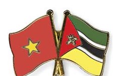Ciudad Ho Chi Minh impulsa cooperación con Mozambique en sector judicial
