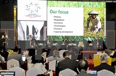 Economías de APEC debaten sobre agricultura sostenible  