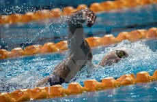 Nadadora vietnamita con excelente actuación en SEA Games 29