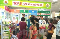Efectuarán en septiembre Feria Internacional de Agricultura en Ciudad Ho Chi Minh
