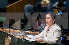 Vietnam exhorta a reformas de operaciones de paz de ONU  