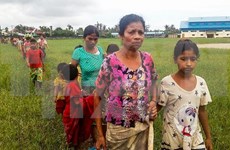 Myanmar: más de 18 mil rohingyas huyen a Bangladesh