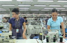 Reportan leve aumento de Índice de Producción Industrial de Vietnam