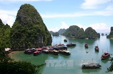 Número de turistas extranjeros a provincia de Quang Ninh crece 20 por ciento
