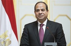 Vietnam, prioridad en la política hacia el Este de Egipto
