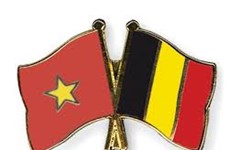 Conmemoran en Bélgica Día Nacional de Vietnam  