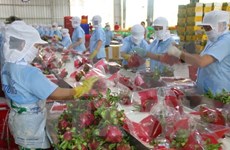 Vietnam y Laos impulsan cooperación en agricultura