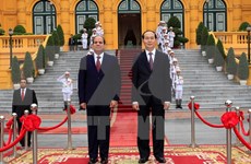 Medios de comunicación egipcios destacan experiencias de Vietnam en renovación nacional