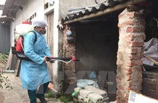 Hanoi refuerza medidas para prevenir propagación del dengue