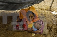 Australia ofrece asistencia humanitaria a Rohingyas en Myanmar