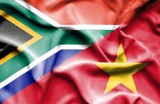 Cooperación con Sudáfrica, punto relevante de nexos entre Vietnam y África 