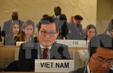Vietnam participa en 36 período de sesiones del Consejo de Derechos Humanos de ONU