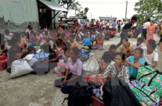 Gobierno de Myanmar rechaza el cese el fuego propuesto por rebeldes rohingyas