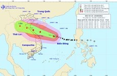 Vicepremier vietnamita instruye reforzar medidas preventivas ante llegada del tifón Doksuri