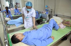 Hanoi reporta disminución de casos de dengue