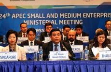 APEC aprueba importantes documentos sobre desarrollo de PyMEs 