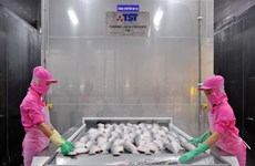 Más de un centenar de empresas participarán en feria de productos acuícolas en Vietnam