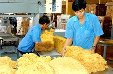 Exportaciones de caucho de Vietnam crecieron en primeros ocho meses de 2017