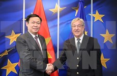 Vicepremier de Vietnam cumple agenda apretada en Bélgica 