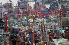 Tailandia: pescadores protestan contra las regulaciones pesqueras de la Unión Europea