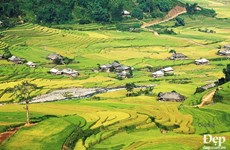Inauguran semana cultural y festival de terrazas de arroz en provincia de Yen Bai