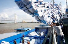 Vietnam prevé aumento de valor de exportación de arroz