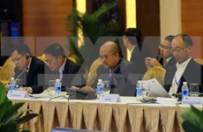 Provincia vietnamita garantiza seguridad para el Foro sobre Mjueres y Economía de APEC 2017