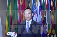 Vietnam busca mayor cooperación internacional en lucha contra la criminalidad