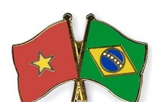 Presentan Grupo parlamentario de amistad Brasil-Vietnam para período 2017-2019