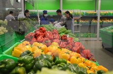 Vietnam ingresa monto multimillonario por ventas de verduras y frutas 