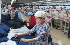 Provincia vietnamita registra duplicación de capital social de nuevas empresas