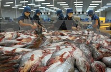 Pescado Tra de Vietnam conquista a consumidores internacionales por su  nutricional superior 