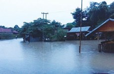 Vietnamitas en el exterior respaldan a laosianos en superación de secuelas de desastre natural