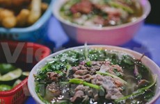 Fundan Asociación de Cultura Gastronómica de Vietnam 