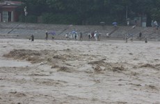 Oficina del presidente de Vietnam realiza actividades de apoyo a víctimas de inundaciones