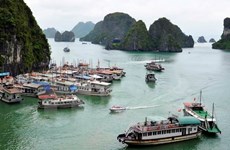 Vietnam lanza programa de acción para desarrollar industria turística 