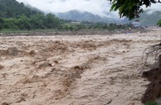 Japón ofrece apoyo de emergencia a damnificados de inundaciones en Vietnam