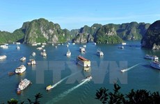  Estrechan control de servicios turísticos en Bahía Ha Long