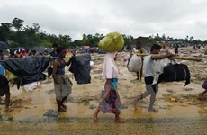 Bangladesh y Myanmar acuerdan controlar flujo de desplazado rohingyas
