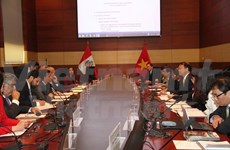 Efectuada primera Reunión de Comisión Intergubernamental Perú-Vietnam 